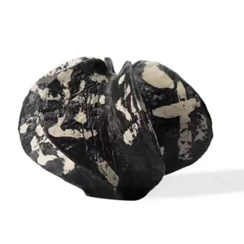 Carambola Muse Vase by PurelyhomeDeco